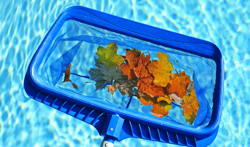 True Oasis Pool Services